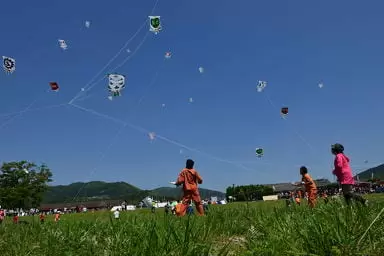 年は中止 いかざき大凧合戦 内子 イベント 400年の歴史ある空中合戦 100畳大凧あげ 愛媛県内子町 海賊つうしん