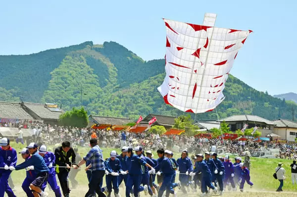 年は中止 いかざき大凧合戦 内子 イベント 400年の歴史ある空中合戦 100畳大凧あげ 愛媛県内子町 海賊つうしん