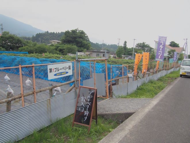 メルファーふたがみ内観10