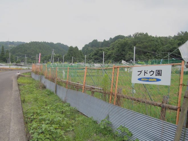 メルファーふたがみ内観11