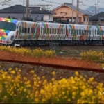 予讃線8000系アンパンマン列車