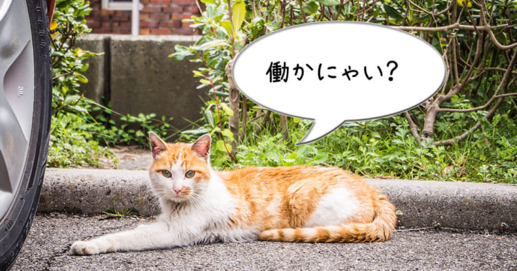 しまなみアイキャッチ
