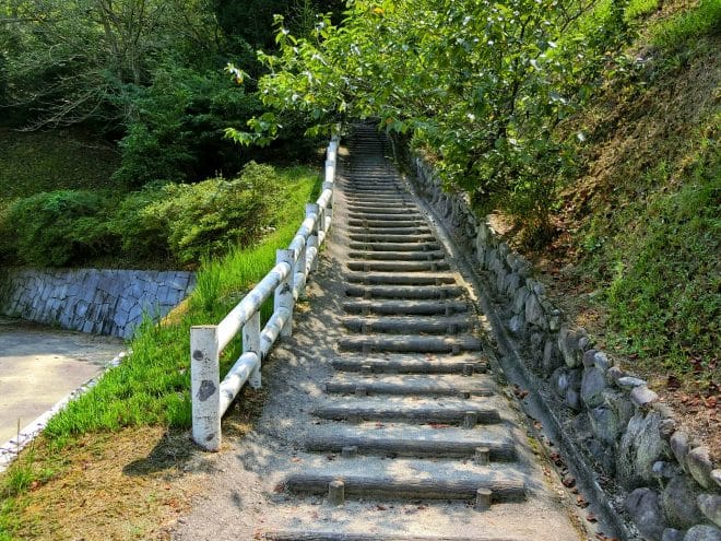 遊歩道/朝倉緑のふるさと公園