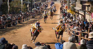お供馬2018