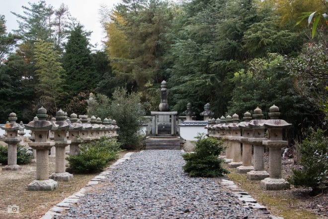 久松松平家の墓