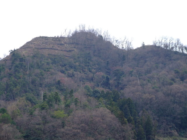 鳴滝山城跡