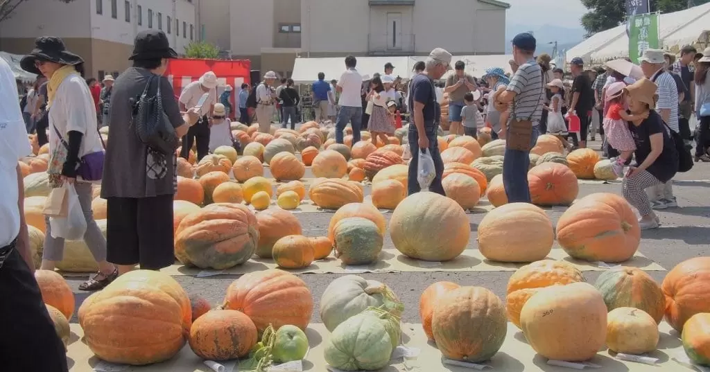 年は中止 フォトコンテストのみ どてかぼちゃカーニバル 東温 イベント 愛媛県のハロウィンイベント 巨大かぼちゃと写真撮影 海賊つうしん