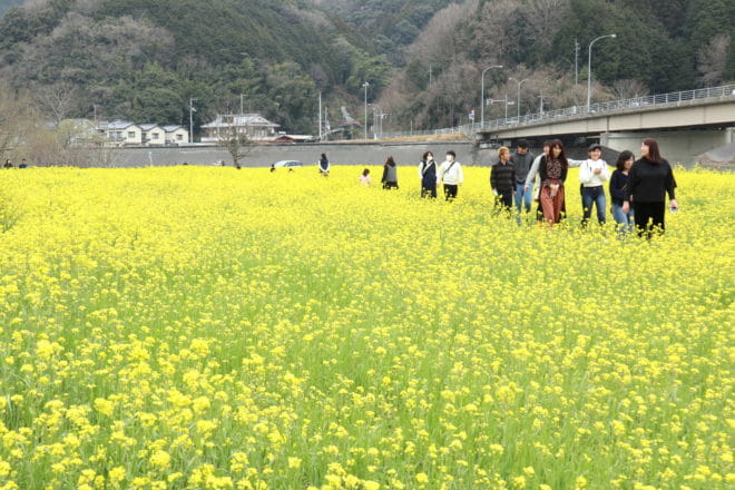 畑の前河川敷５