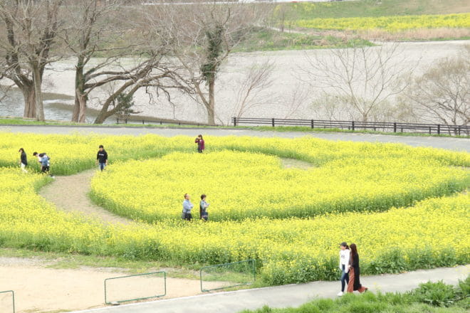 畑の前河川敷４