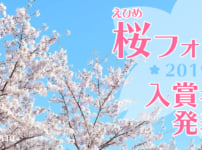 愛媛県・桜フォトコンテスト2019入賞者発表