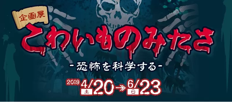 愛媛ヒーローショーgwイベントまとめ プリキュアや仮面ライダージオウ マイメロディに会える 海賊つうしん