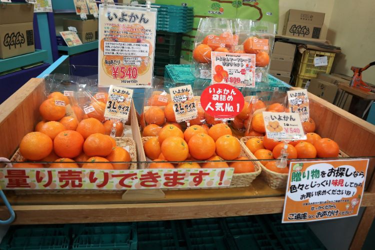 ニュウズ　柑橘量り売り2