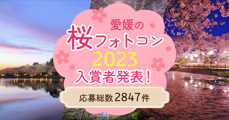 2023桜フォトコンアイキャッチ