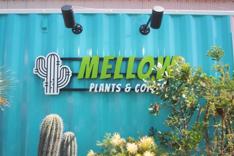 mellow　看板2