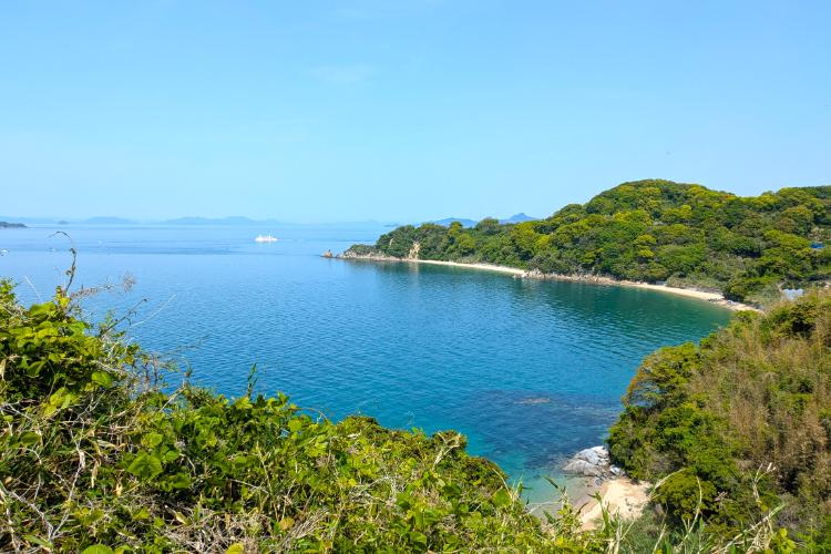 島の駅 興居島風景