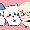 ちいかわ むちゃフォトパーティ！！