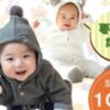 赤ちゃんはいはいれ～す10/12