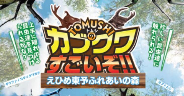 TOMUSHIのカブクワすごいぞ！！えひめ東予ふれあいの森！