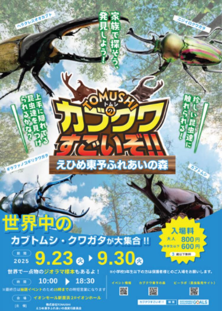 TOMUSHIのカブクワすごいぞ！！えひめ東予ふれあいの森！