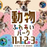 動物ふれあいパーク