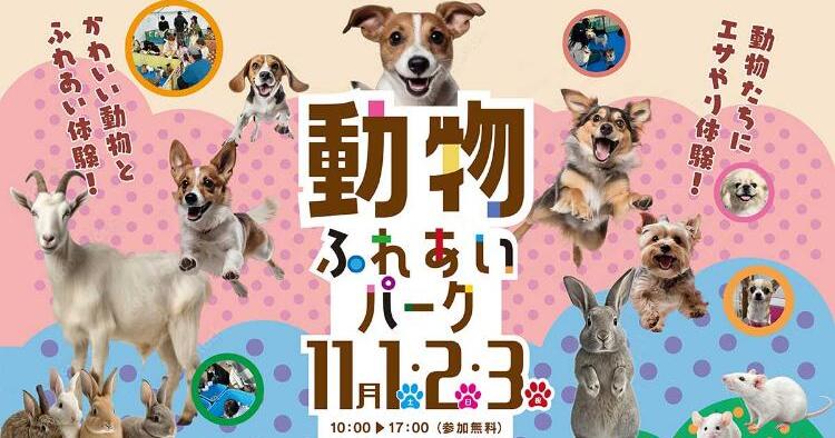 動物ふれあいパーク