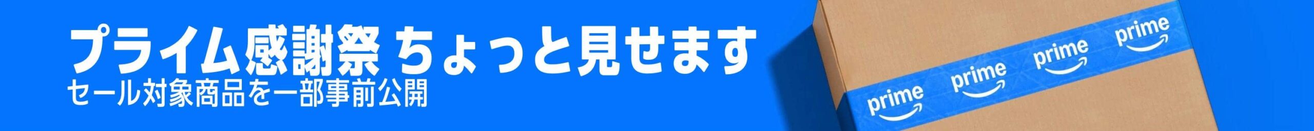 プライム感謝祭2025