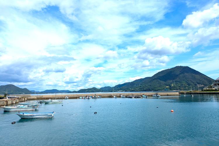 ナイスタッチ 風景