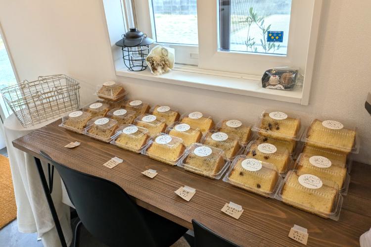 ノア シフォンケーキ陳列