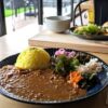 タネマキ　アイキャッチ