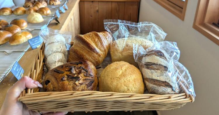 アルブル　アイキャッチ