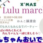 X'mas Lulu marché