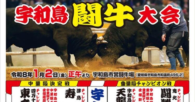 定期闘牛大会正月場所