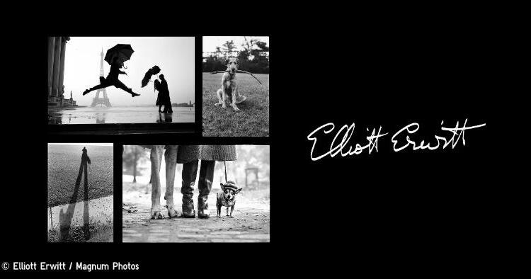 UTエリオット・アーウィット