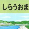 第35回 津島しらうおまつり