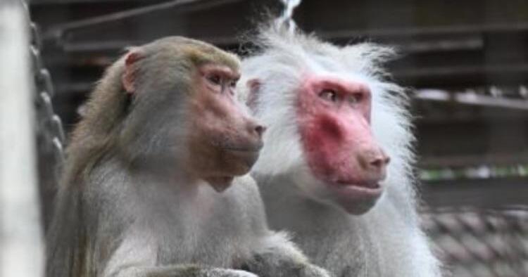 園内まったりお散歩 冬休み特別バージョン