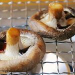 第14回 湯ノ浦発シイタケまつり