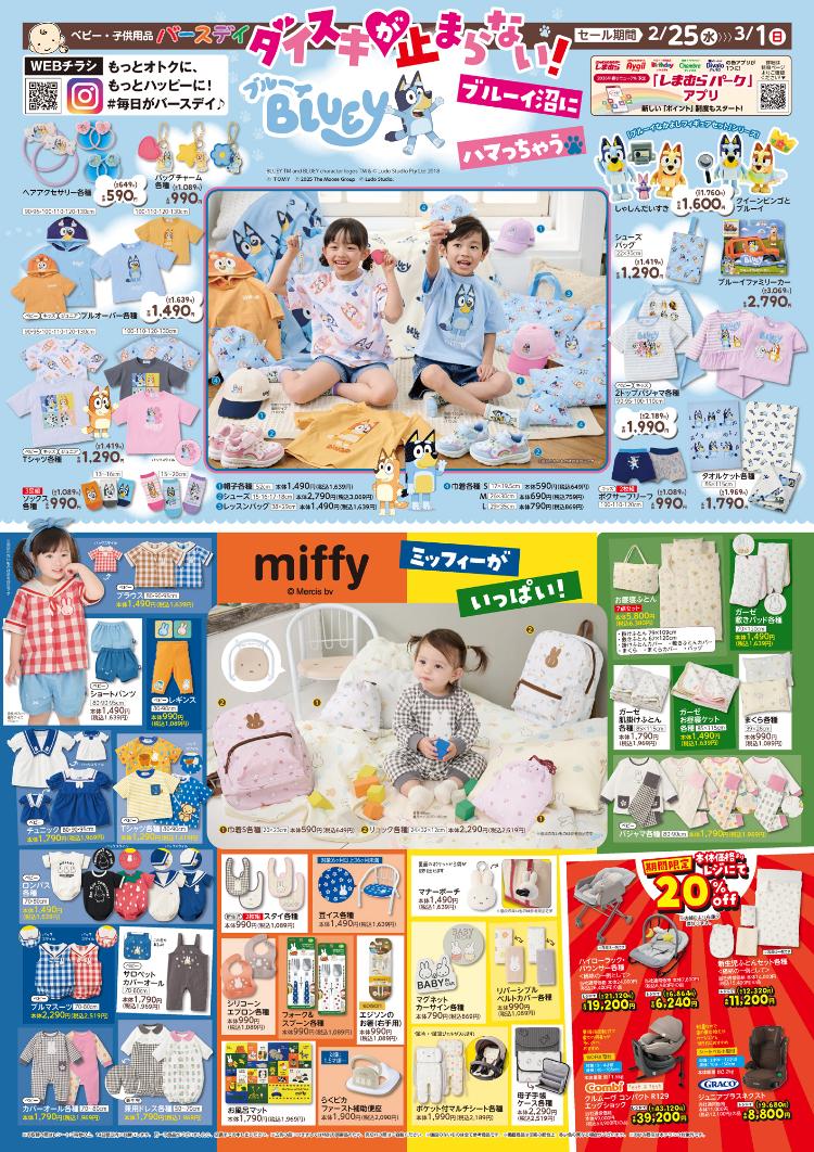 バースデイ02250301