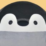 コウペンちゃん はなまる撮影会