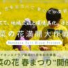 菜の花春まつり