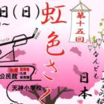 第十五回 虹色さくらまつり