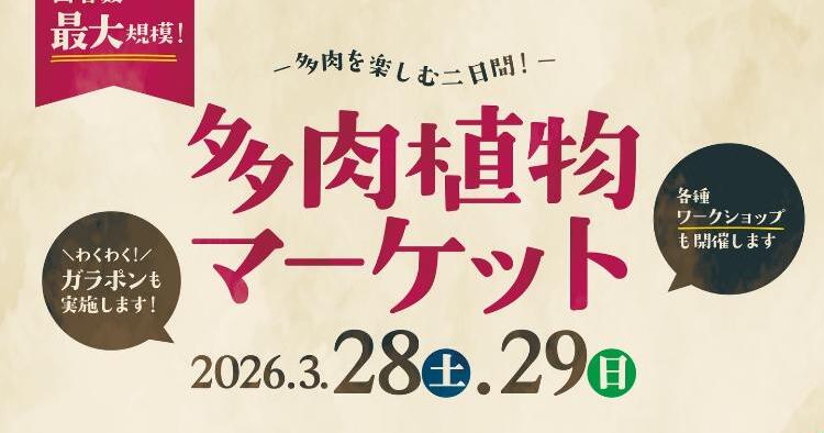 多肉植物マーケット