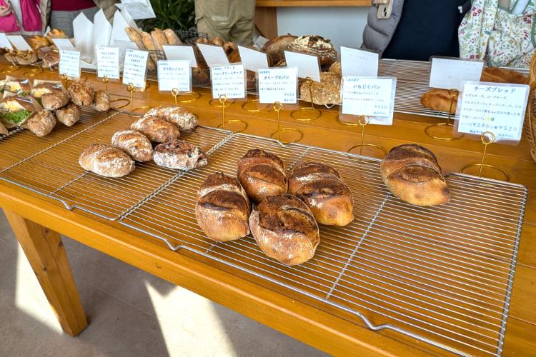 晴れの日　ラインナップ2