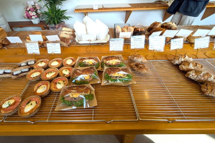 晴れの日　ラインナップ3