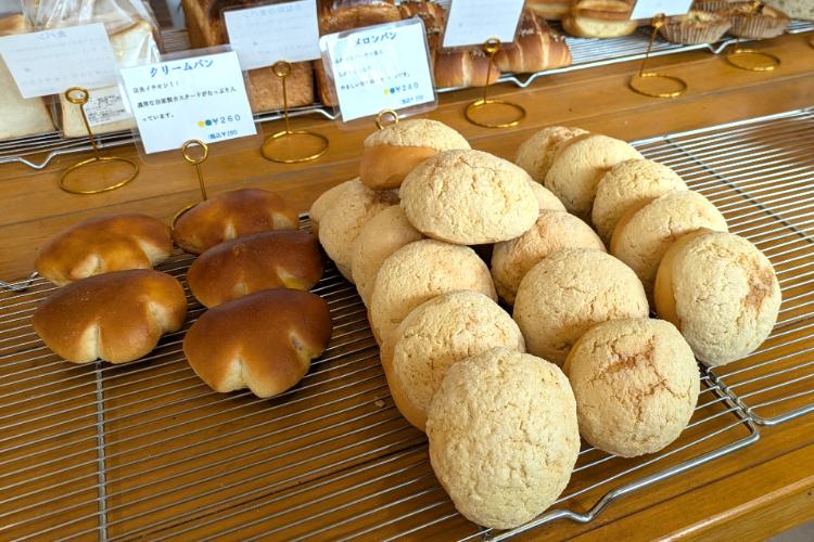 晴れの日　ラインナップ4