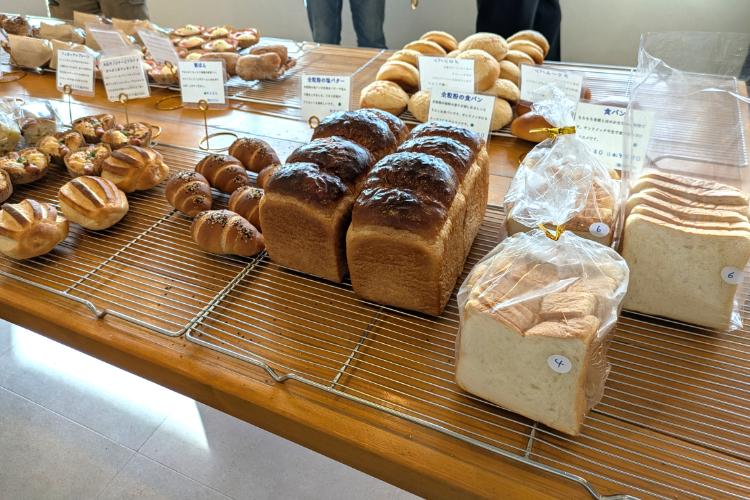 晴れの日　ラインナップ5