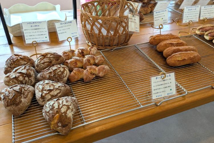 晴れの日　ラインナップ