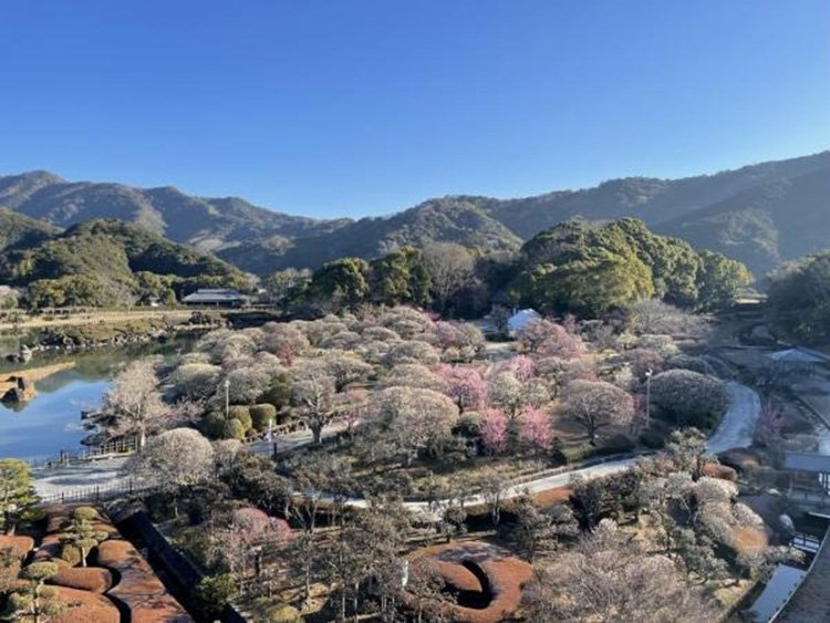 日本庭園南楽園