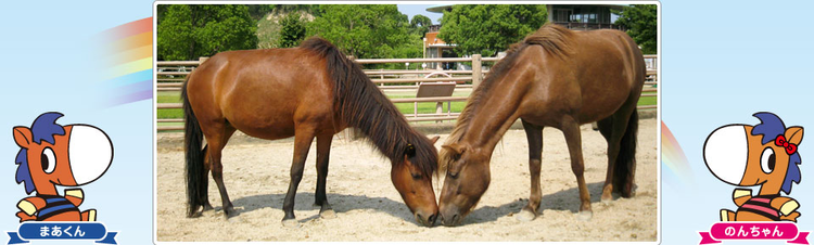 野間馬ハイランド