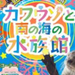 カワウソと南の海の水族館