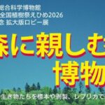 森に親しむ博物館
